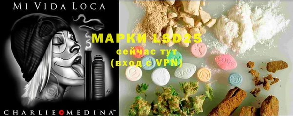 ECSTASY Алзамай